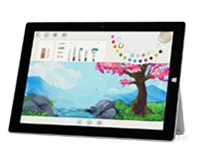 铁门关Surface 无法开启、Windows 无法启动或电池无法充电